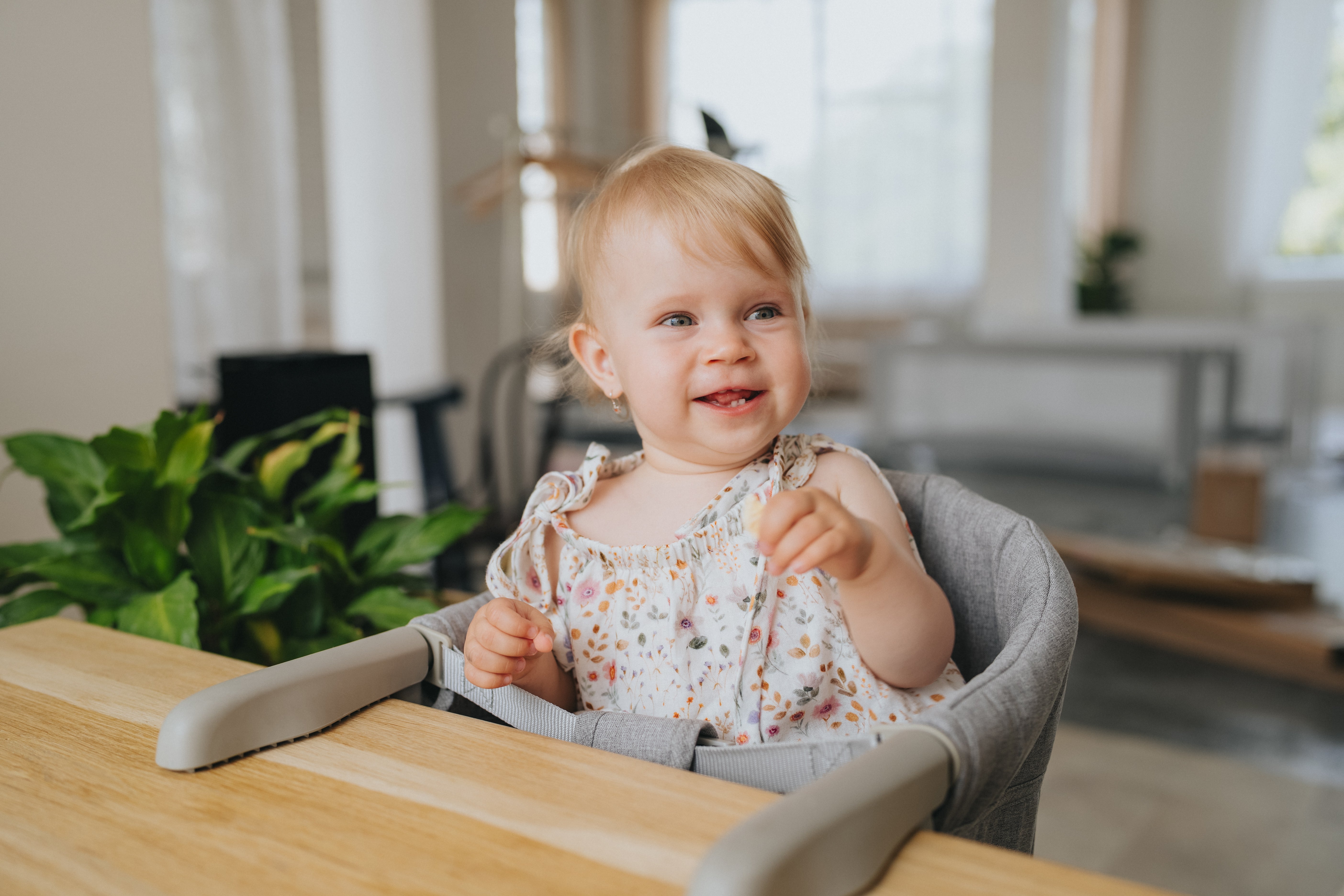 Cestovná jedálenská stolička Monkey Mum® - sivá - rozbalená
